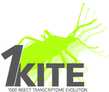 1KITE logo with link to project website