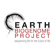 EBP logo with link to project website